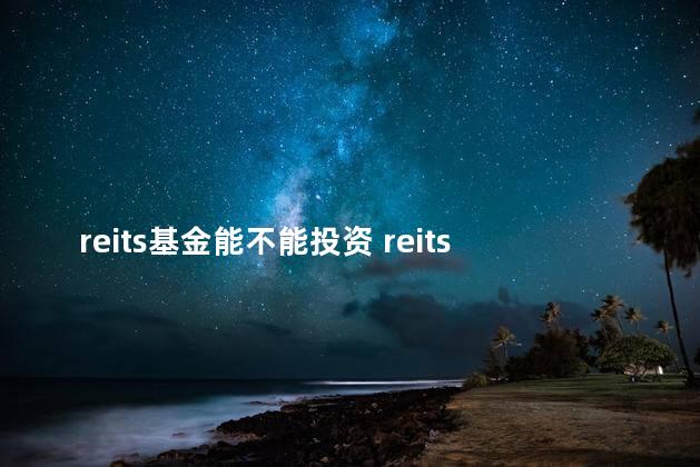 reits基金能不能投资 reits基金个人能买吗